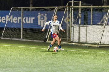 Bild 363 - wBJ Hamburger SV - Eimsbuettler TV 2 : Ergebnis: 16:0
